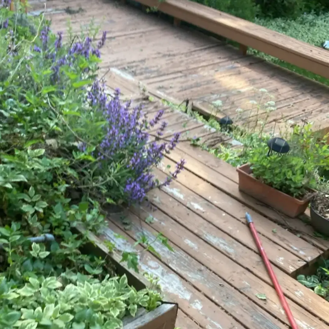 image A four-panel collage showing different stages or views of a land clearing project. The upper left and lower left show tilled, dark brown earth, while the right side shows a field, part tilled and part green grass, with snowy mountains in the distance under a cloudy sky.